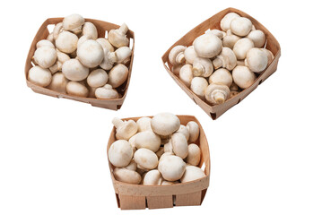 Champignon mushroom isolated on white background.