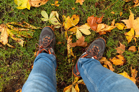 Detail picture of a man´s boots locate on top of the grass and surrounded by leaves that have fallen from the trees during the autumn season