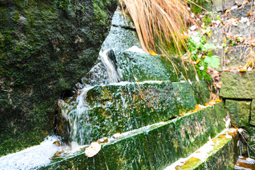 Zielona ściana  © calibanx