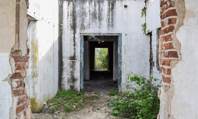 Ciclos, etapas, puertas.