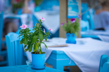 Grecka tawerna na wyspie, niebieskie stoły, białe obrusy, Kreta