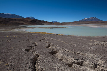 Cracks in the dry desert sand leading the eye to the green Laguna Honda, Bolivia