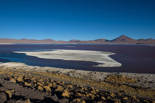The red colored water filled Laguna Colorada on the highlands of Bolivia that is home to many flamingos, Bolivia