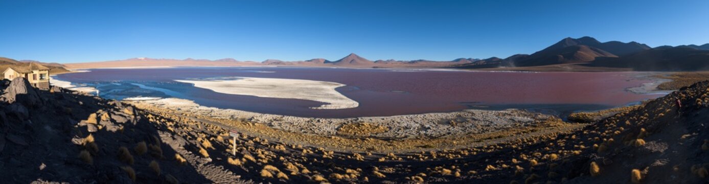 The red colored water filled Laguna Colorada on the highlands of Bolivia that is home to many flamingos, Bolivia