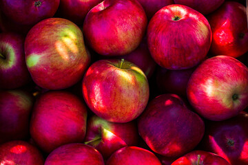 Red apples background, pile of fresh apple fruits, natural food texture