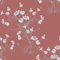 Camomile hand drawn pattern on pink background