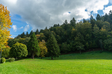 Herbstliche Landschaft im Schwarzwald