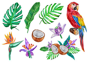Set of tropical leaves, coconut, bouquet, flowers and red parrot macaw. Watercolor. Illustration. Hand drawn. Template.