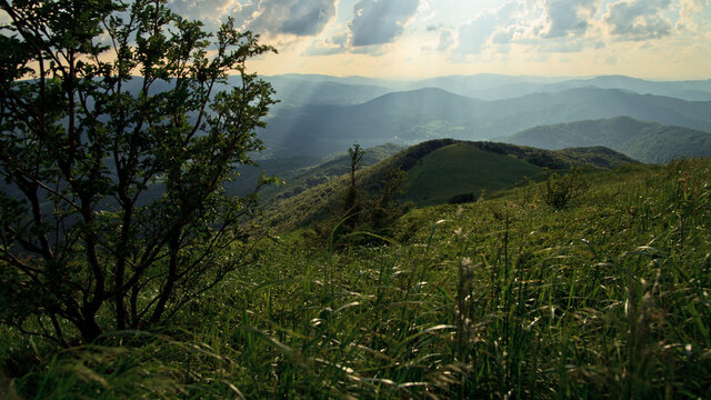 Zielona g&oacute;rska łąka, Bieszczady, Polska