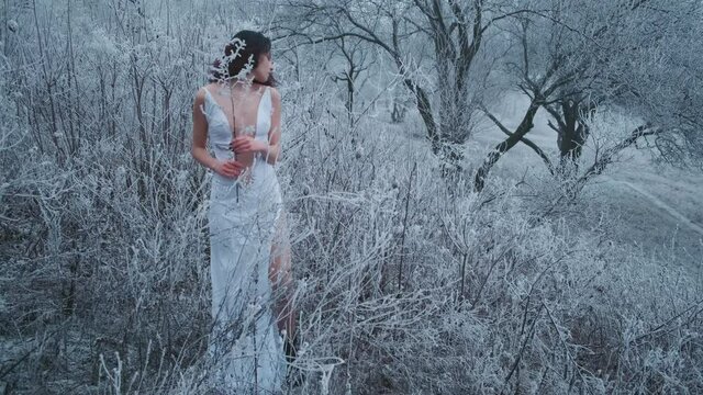 Fantasy girl. Fashion model posing. frosty nature in winter forest. Black tree silhouette in hoarfrost. On snowy road stand young beautiful woman Snow Queen. White and beige color long wedding dress.
