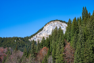 Rocky peak in the forest