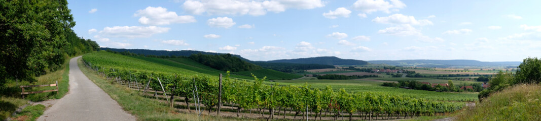 Fototapeta na wymiar bavarian vineyard valley panorama at the Steigerwald
