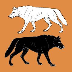 drawn wolf, two isolated silhouette, black and white on a  orange background, for decoration and stickers. 