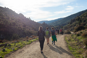 Obraz premium Group of friends hiking in the mountains