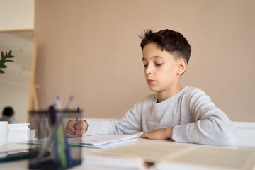 Naklejka premium Distance learning online education. A schoolboy boy studies at home and does school homework. A home distance learning. High quality photo