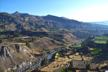 Obraz premium Beautiful view of the Colca Canyon landscape in Peru on an early morning with very little water in the river that runs through the valley