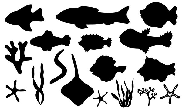 Vector fish and sea set. Hand-drawn black silhouettes doodle illustration on white background isolated. Cute fishes, starfish, weeds. Decorative elements for design
