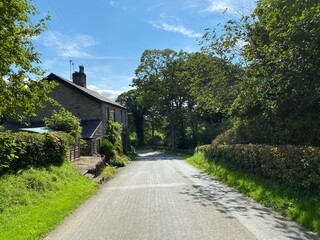 Looking down, Hellifield Road, with grass verges, old trees, and a cottage in, Bolton by Bowland, Clitheroe, UK