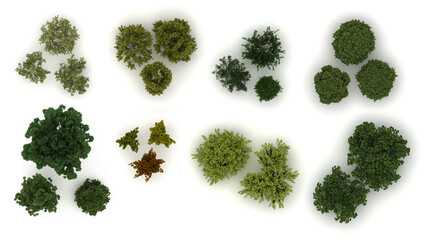 Various trees from top view