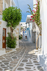 Traditional Cycladitic alley with a narrow street, whitewashed houses and a blooming bougainvillea in parikia, Paros island, Greece.