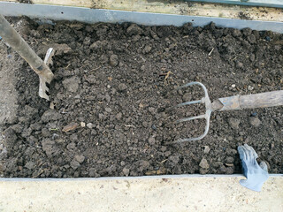 Preparing the land in the greenhouse for planting seedlings in the spring. Digging and hoeing of...