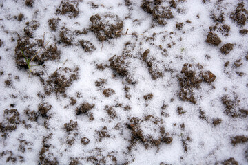 The ground was covered with snow. Beginning of winter. Fresh snow on a dug-up field.