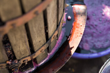 Winepress with red must and helical screw. Production of traditional Italian wines, crushing of grapes.