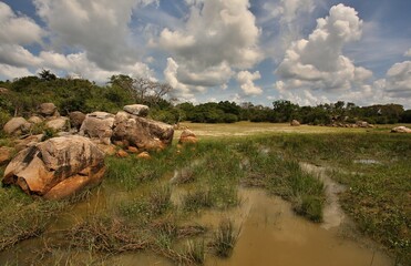 Yala National Park, Srí Lanka