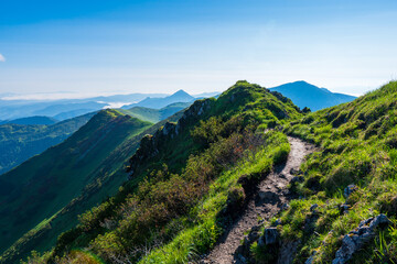 Obraz premium Green mountain covered with forest on the blue sky background. Slovak mountains trekking path in Mala Fatra slovakia