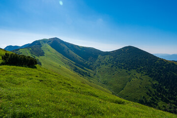 Fototapeta na wymiar Green mountain covered with forest on the blue sky background. Mala Fatra slovakia