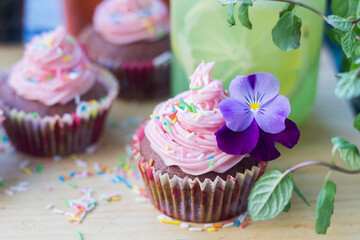 Chocolate-berry cupcakes (with pink frosting)