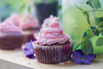 Chocolate-berry cupcakes (with pink frosting)