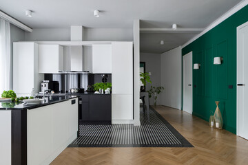 Spacious apartment with kitchen open to corridor