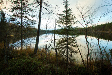 Obraz premium Russian north. Forest Lake.