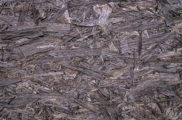 Texture of an old weathered wooden board