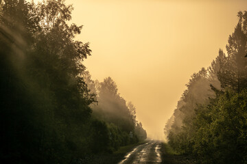 Picturesque landscape scene and sunrise above foggy road
