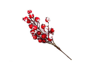 Festive New Year or Christmas background with red holly plant berries in snow