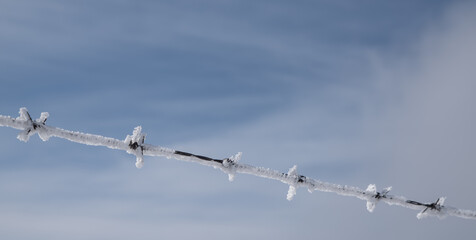 Frost on a barbed wire against a blue sky.