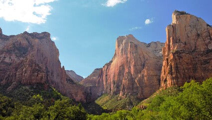 Naklejka premium Eagles landing in Zion National Park