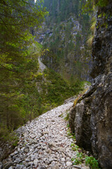 Fototapeta na wymiar Mountains and hiking trail
