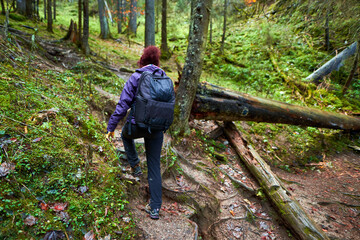 Naklejka na ściany i meble Active hiker woman on a trail