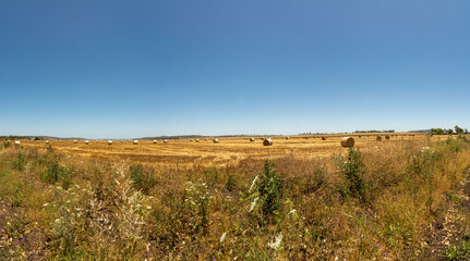 Harvesting straw bales in outback, Queensland, Australia