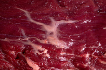 Fresh and raw fillet Mignon