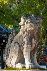 Fototapeta na wymiar 今宮神社の狛犬