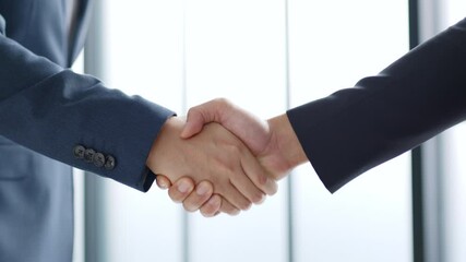 Professional businessman making handshake for deal, agreement and successful concept