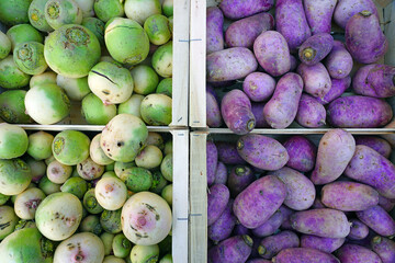 Crate of giant green and white watermelon winter radishes at a  farmers market