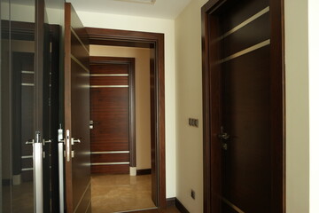 Hotel room entrance hall. Hotel room interior with closet, entrance door.