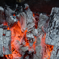 Coals covered with ash, but still hot inside
