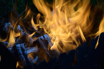 close up of burning wood and charcoal