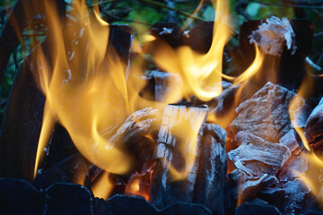 close up of burning wood and charcoal